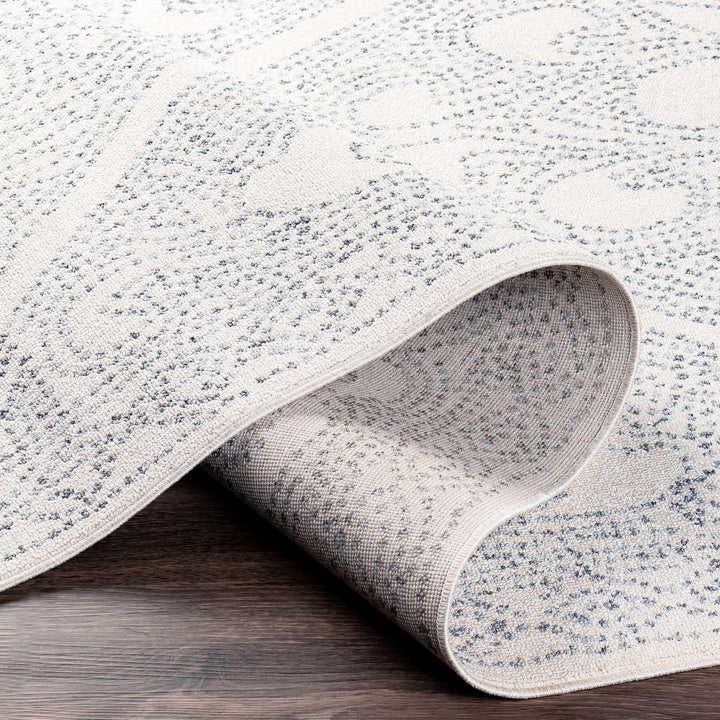 Contemporary Ivory and Charcoal Large Design Area Rug - The Rug Decor
