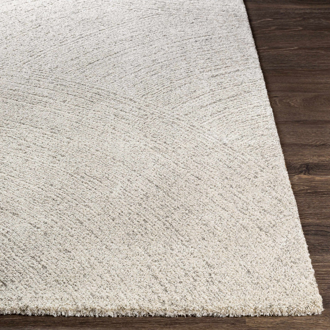 Contemporary Ivory And Gray Rug - The Rug Decor