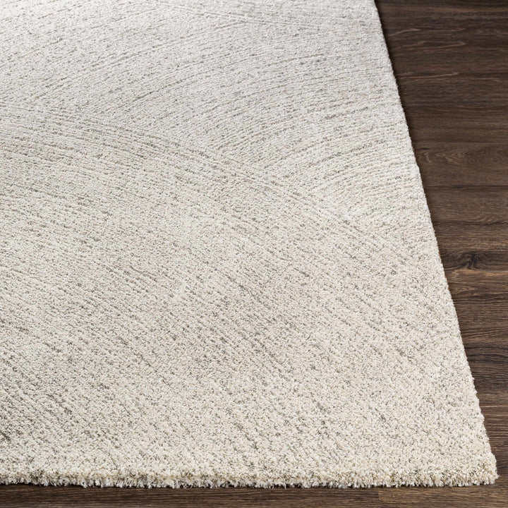 Contemporary Ivory And Gray Rug - The Rug Decor