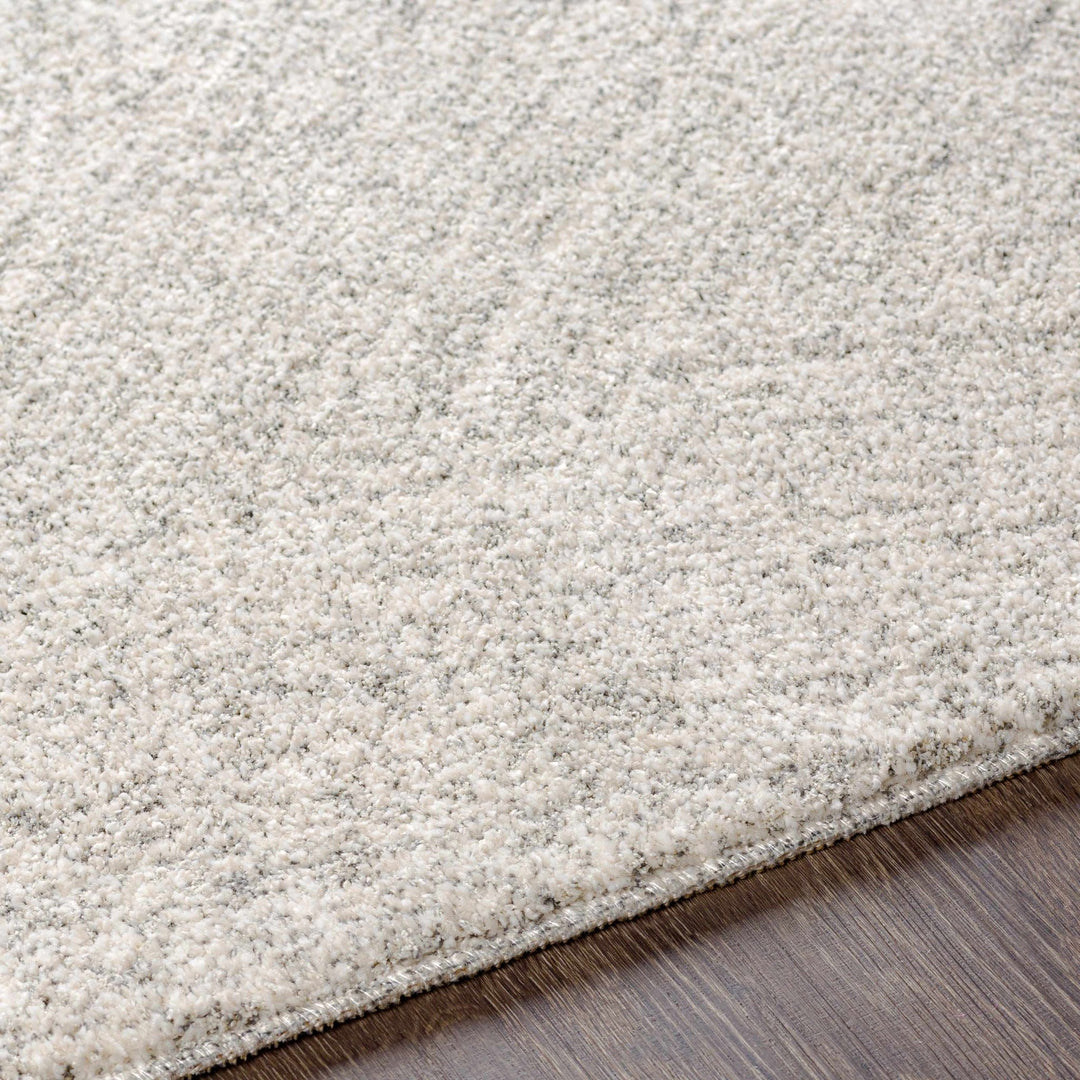Contemporary Ivory And Gray Rug - The Rug Decor