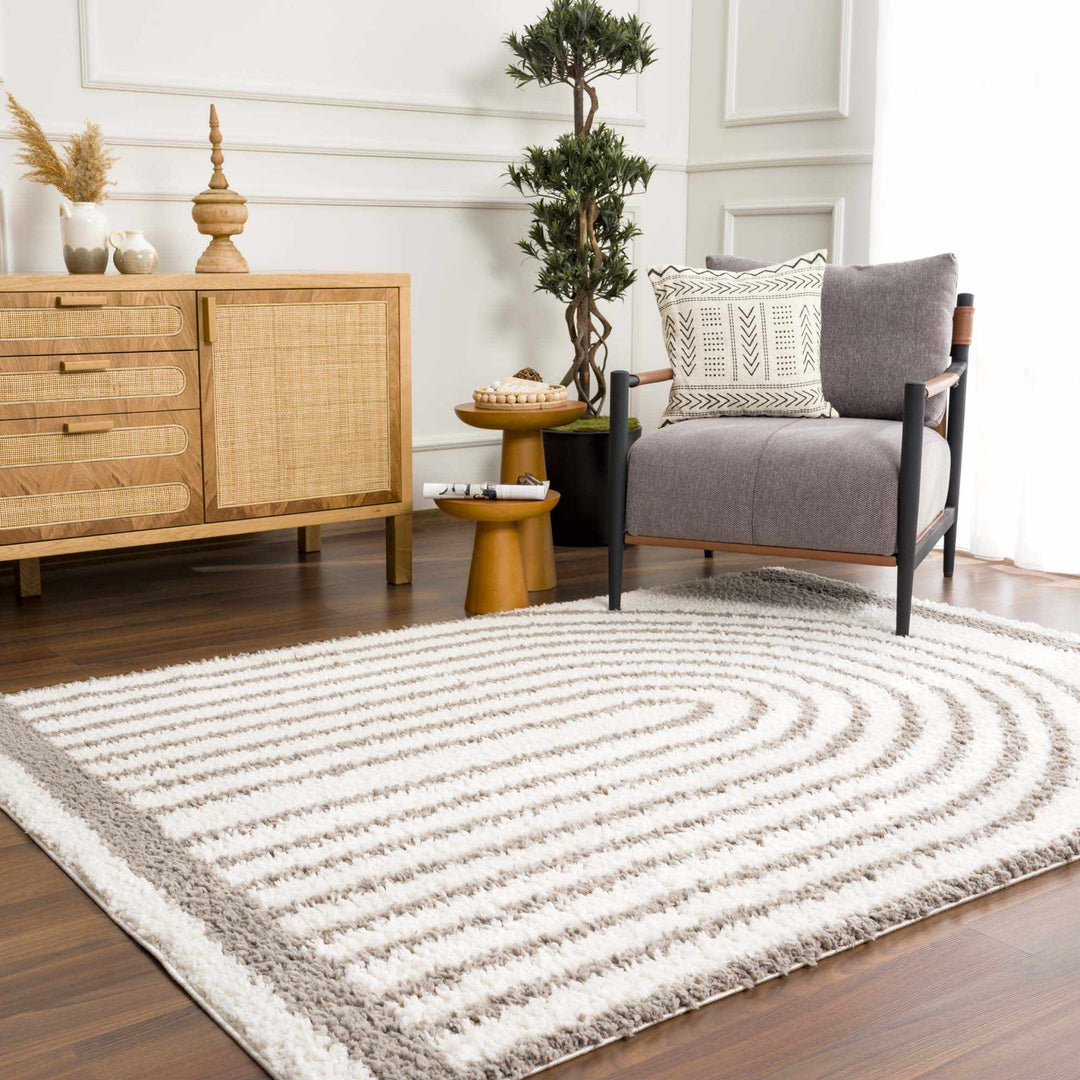 Contemporary Style Beige And Taupe Area Rug - The Rug Decor