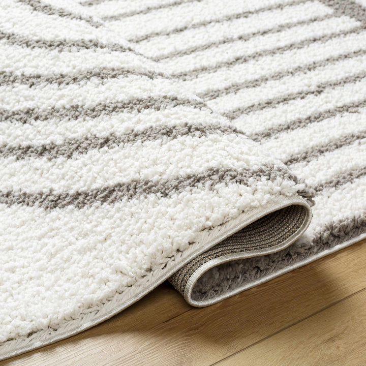 Contemporary Style Beige And Taupe Area Rug - The Rug Decor