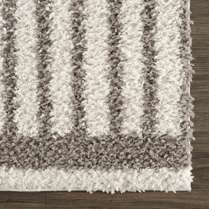 Contemporary Style Beige And Taupe Area Rug - The Rug Decor