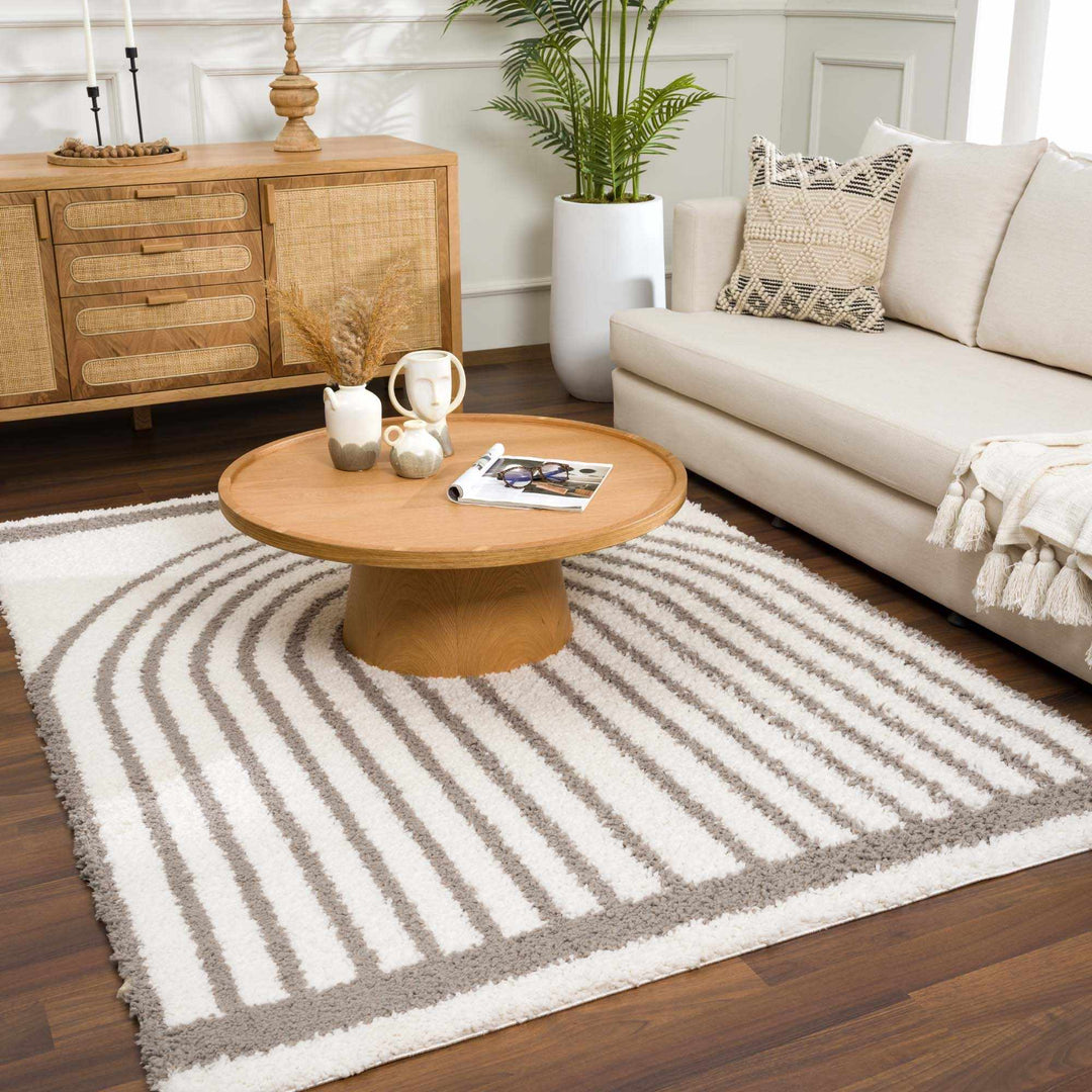 Contemporary Style Beige And Taupe Area Rug - The Rug Decor