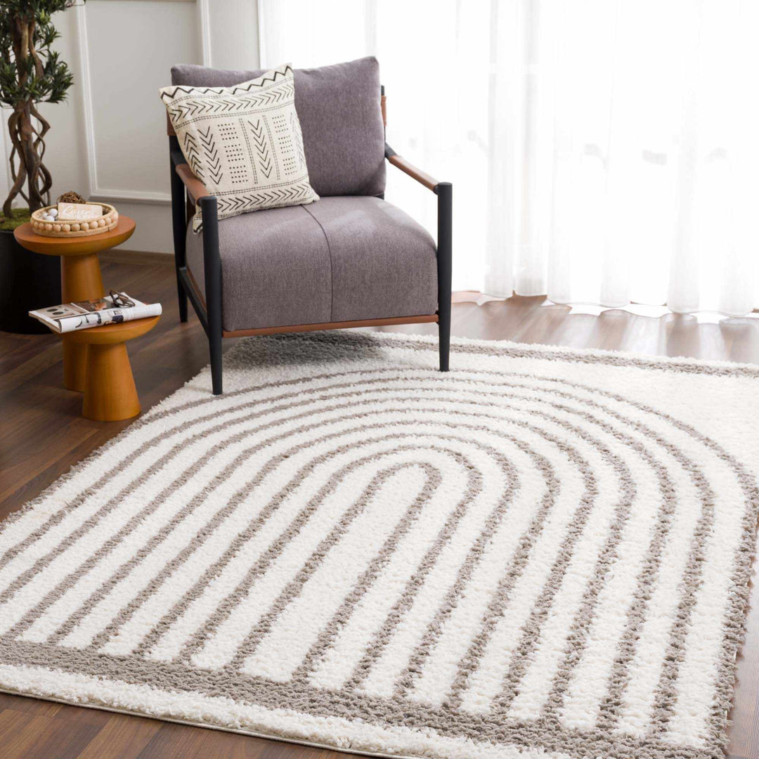 Contemporary Style Beige And Taupe Area Rug - The Rug Decor