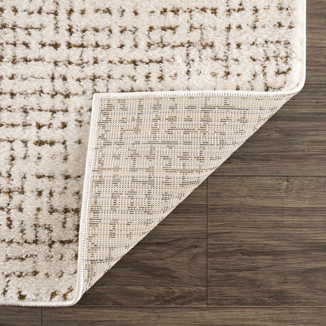Contemporary Style Beige & Brown Area Rug - The Rug Decor