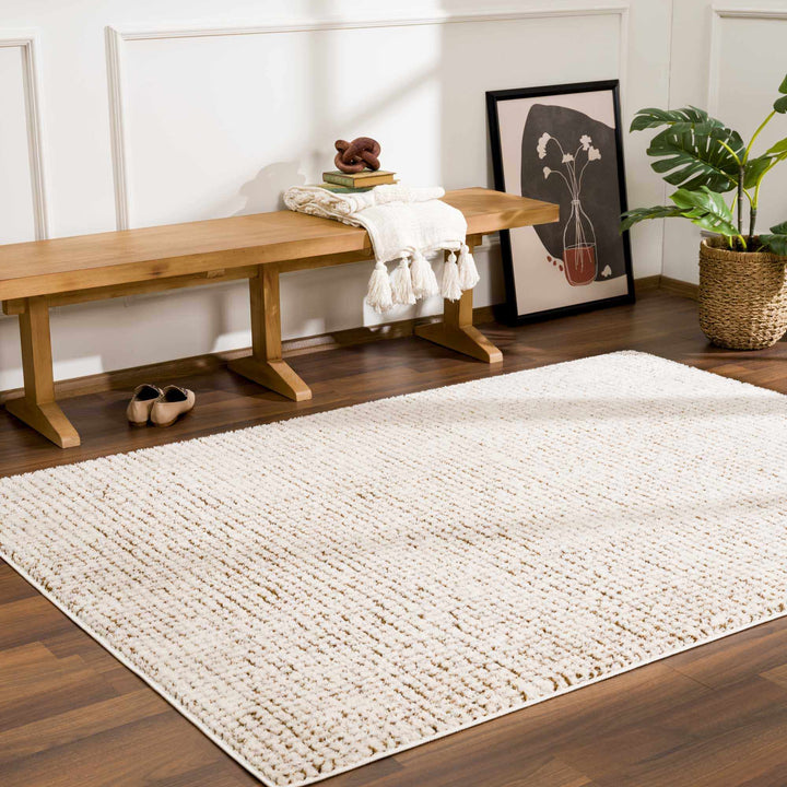 Contemporary Style Beige & Brown Area Rug - The Rug Decor