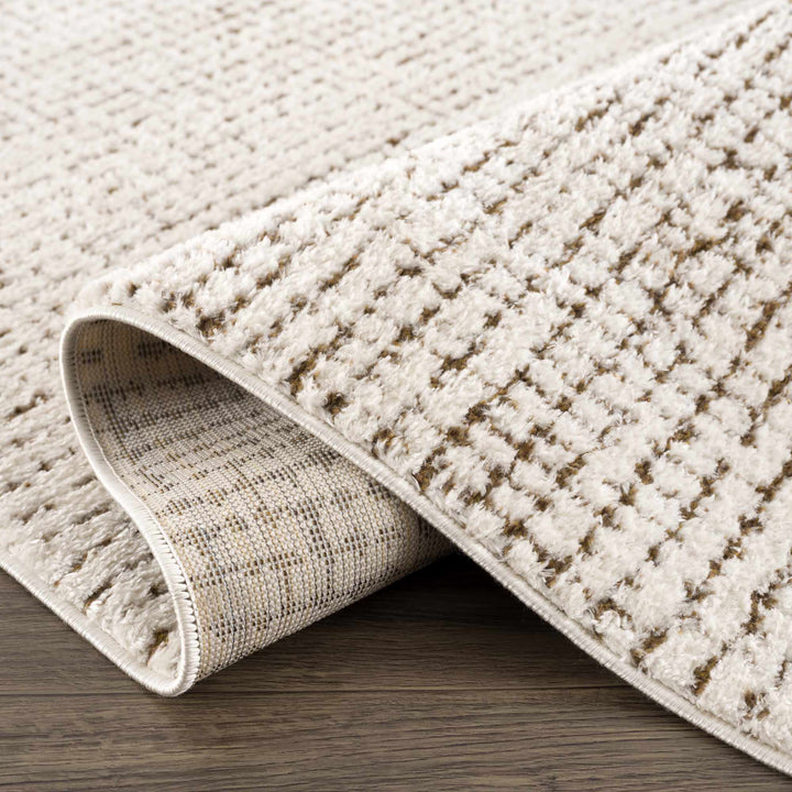 Contemporary Style Beige & Brown Area Rug - The Rug Decor