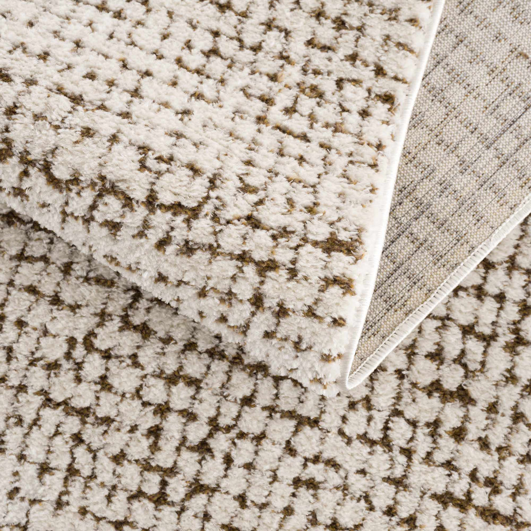 Contemporary Style Beige & Brown Area Rug - The Rug Decor