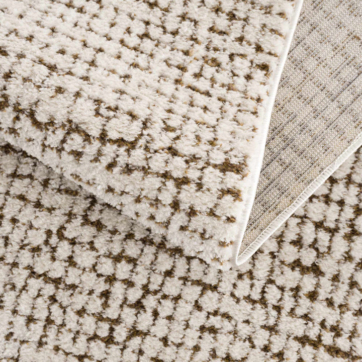 Contemporary Style Beige & Brown Area Rug - The Rug Decor