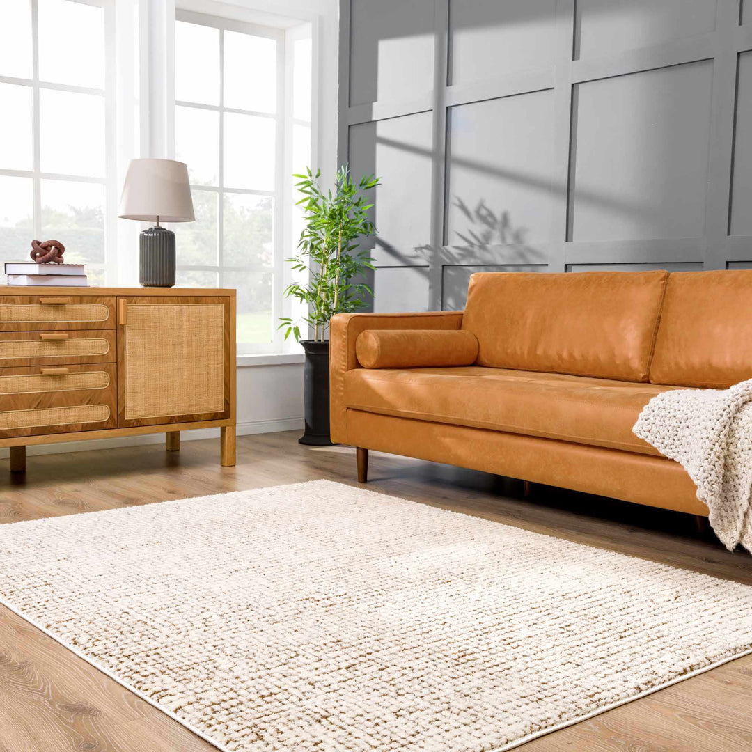 Contemporary Style Beige & Brown Area Rug - The Rug Decor