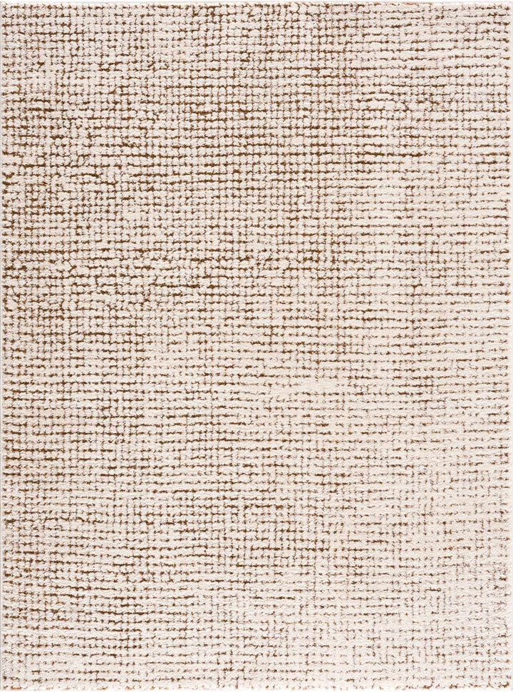 Contemporary Style Beige & Brown Area Rug - The Rug Decor
