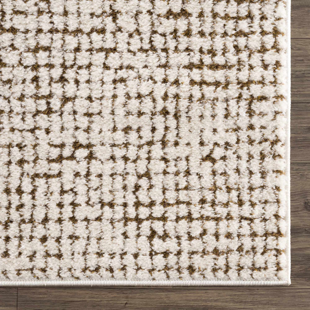 Contemporary Style Beige & Brown Area Rug - The Rug Decor