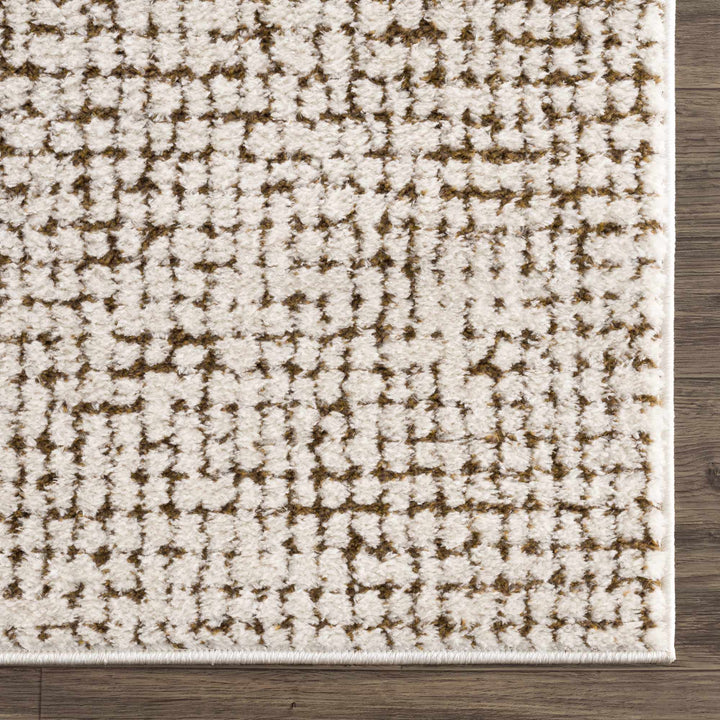 Contemporary Style Beige & Brown Area Rug - The Rug Decor