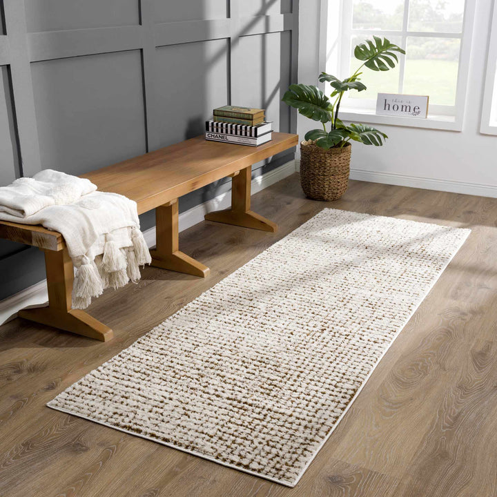Contemporary Style Beige & Brown Area Rug - The Rug Decor