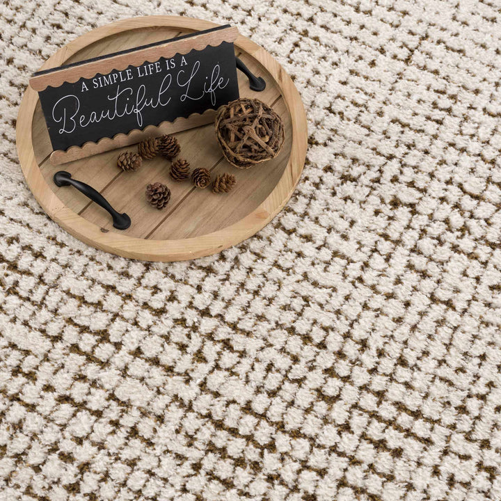 Contemporary Style Beige & Brown Area Rug - The Rug Decor