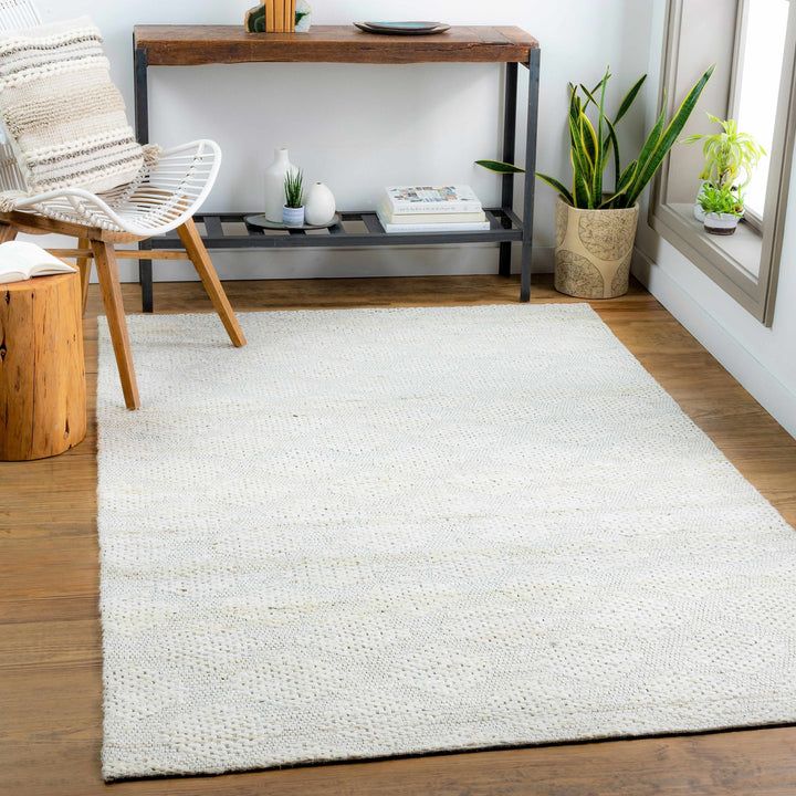 Contemporary Style Beige Hand - Woven Jute Rug - The Rug Decor