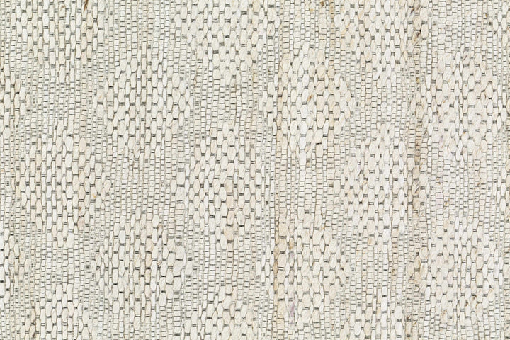 Contemporary Style Beige Hand - Woven Jute Rug - The Rug Decor