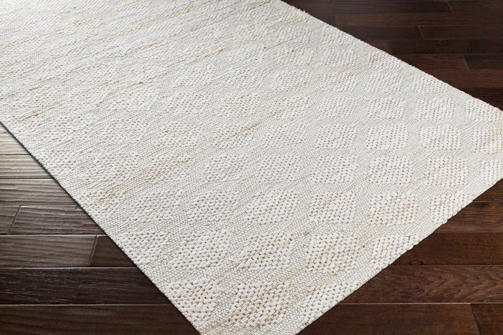 Contemporary Style Beige Hand - Woven Jute Rug - The Rug Decor