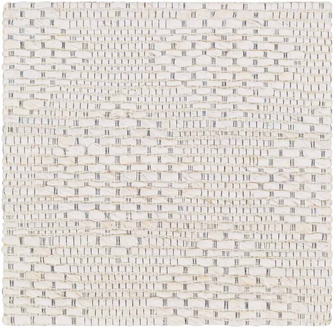 Contemporary Style Beige Hand - Woven Jute Rug - The Rug Decor