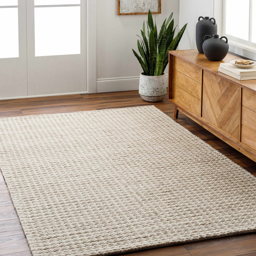 Contemporary Style Beige Hand Woven Wool Area Rug - The Rug Decor