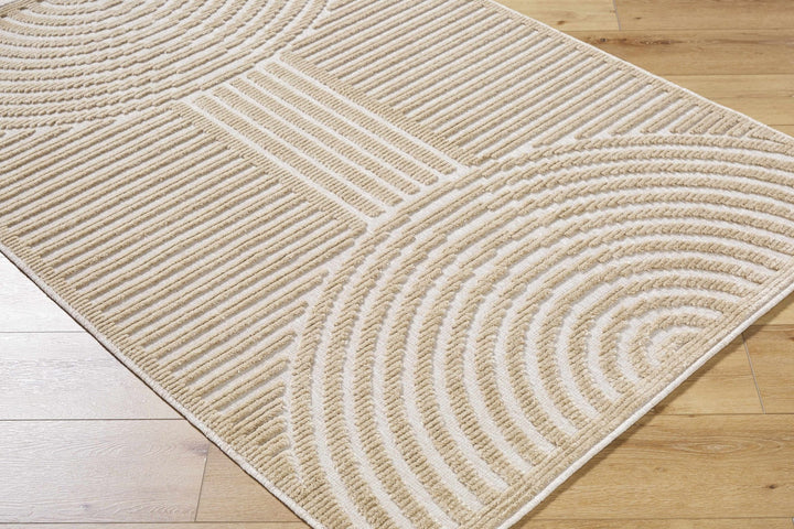 Contemporary Style Beige Washable Area Rug - The Rug Decor