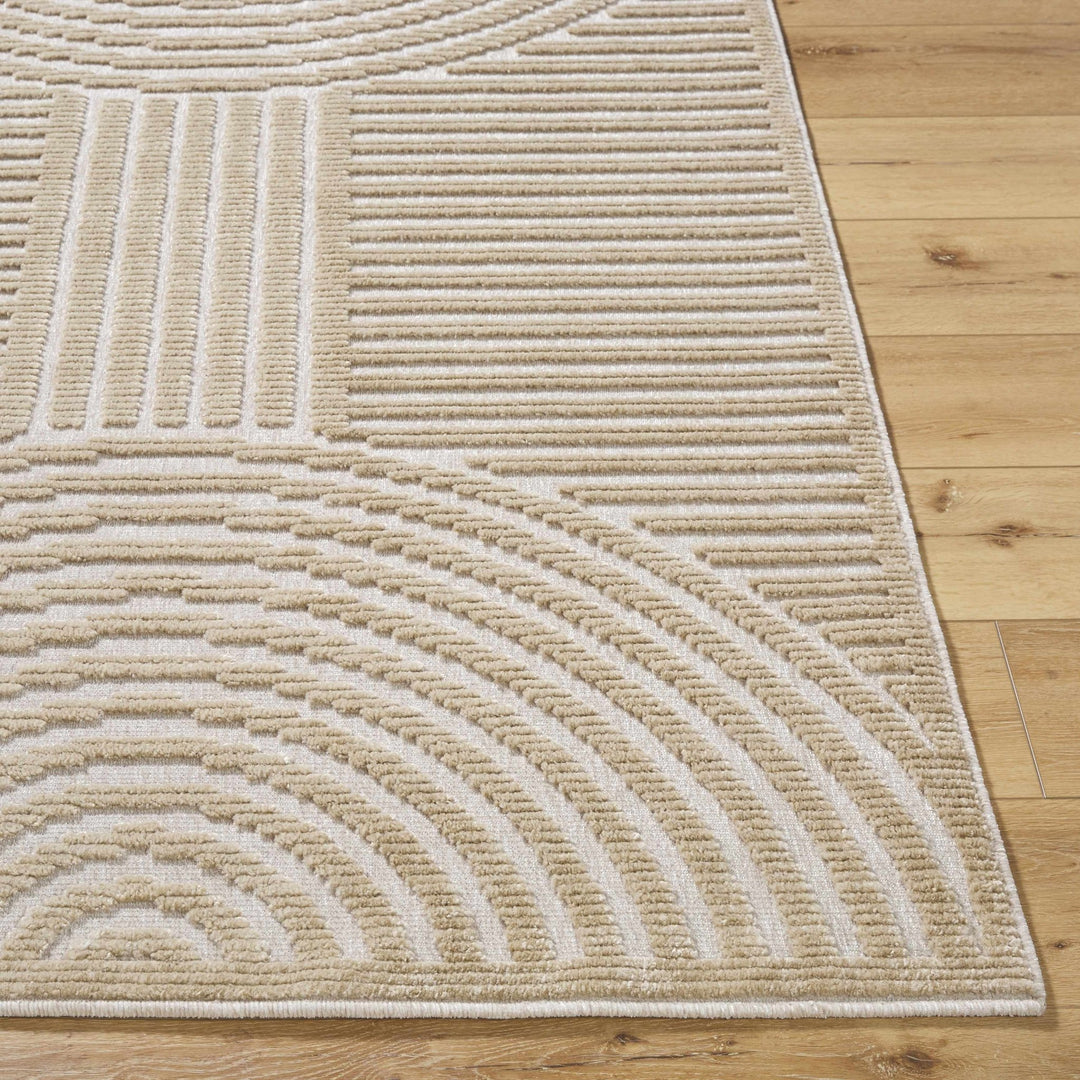 Contemporary Style Beige Washable Area Rug - The Rug Decor