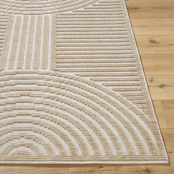 Contemporary Style Beige Washable Area Rug - The Rug Decor