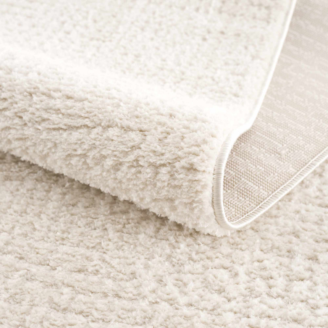 Contemporary Style Ivory Area Rug - The Rug Decor