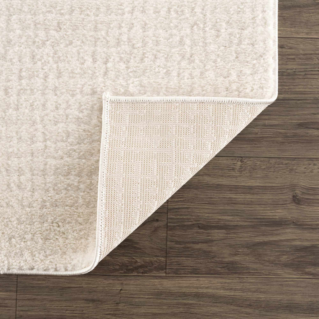 Contemporary Style Ivory Area Rug - The Rug Decor