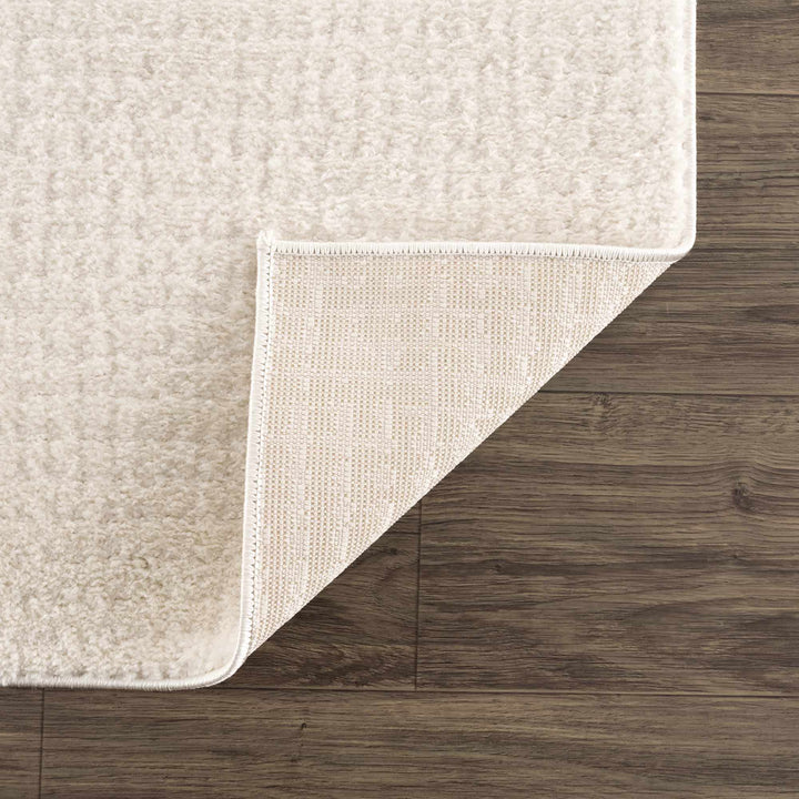 Contemporary Style Ivory Area Rug - The Rug Decor