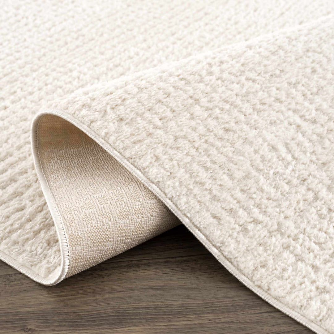 Contemporary Style Ivory Area Rug - The Rug Decor