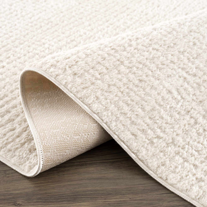 Contemporary Style Ivory Area Rug - The Rug Decor