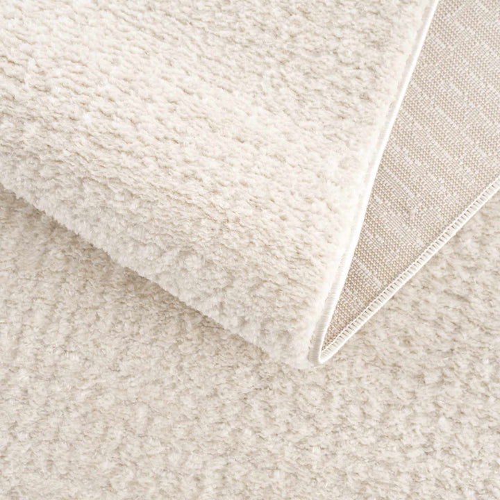 Contemporary Style Ivory Area Rug - The Rug Decor