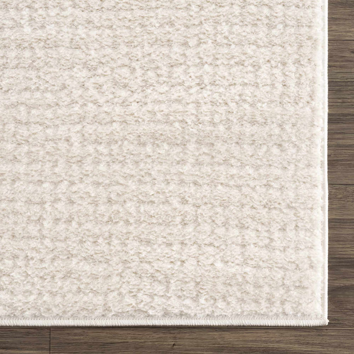 Contemporary Style Ivory Area Rug - The Rug Decor
