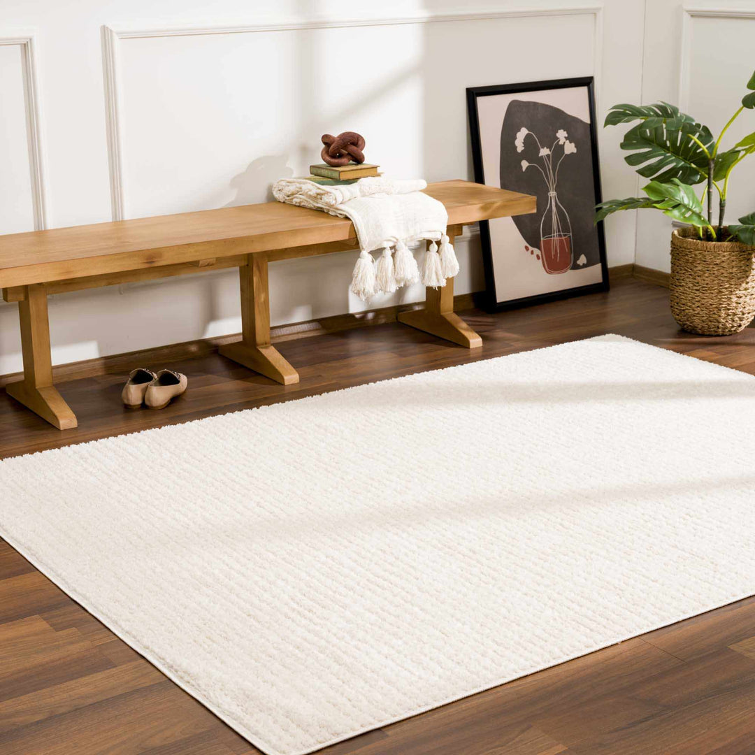 Contemporary Style Ivory Area Rug - The Rug Decor