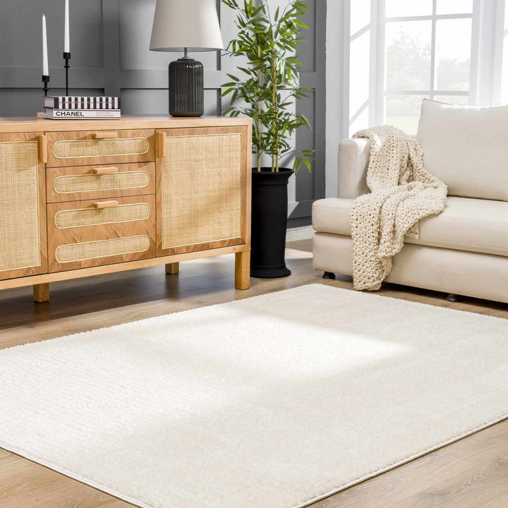 Contemporary Style Ivory Area Rug - The Rug Decor