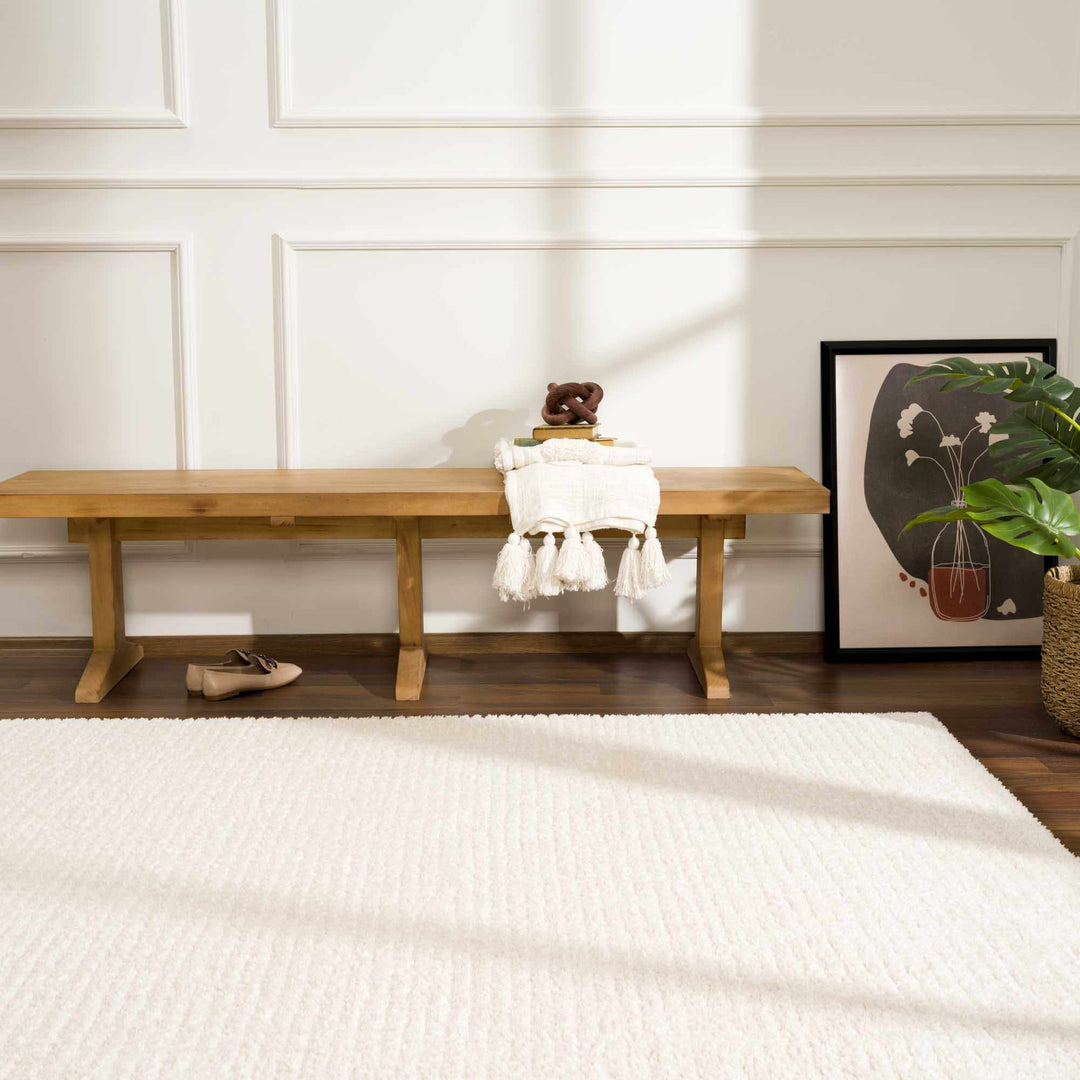 Contemporary Style Ivory Area Rug - The Rug Decor
