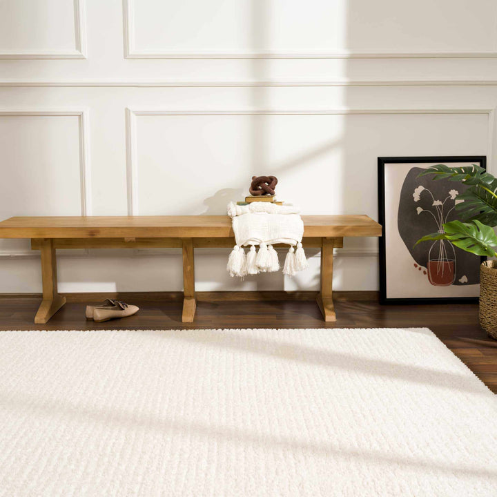 Contemporary Style Ivory Area Rug - The Rug Decor
