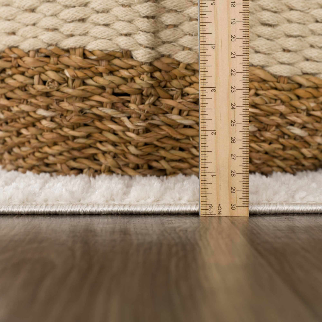 Contemporary Style Ivory Area Rug - The Rug Decor