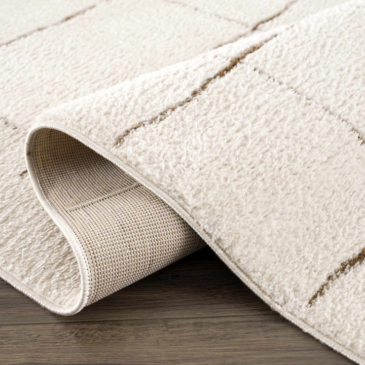 Contemporary Style Ivory & Brown Area Rug - The Rug Decor