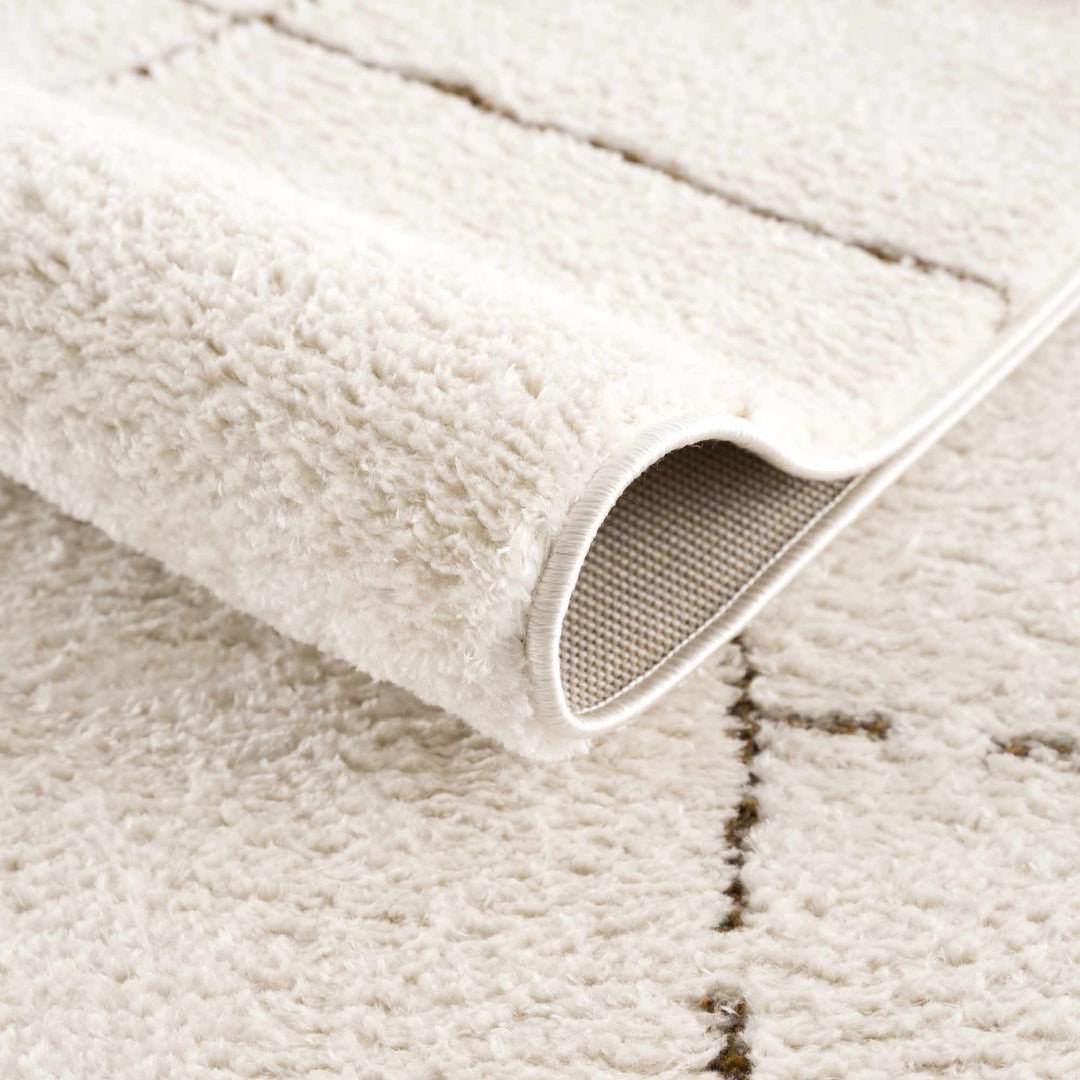 Contemporary Style Ivory & Brown Area Rug - The Rug Decor