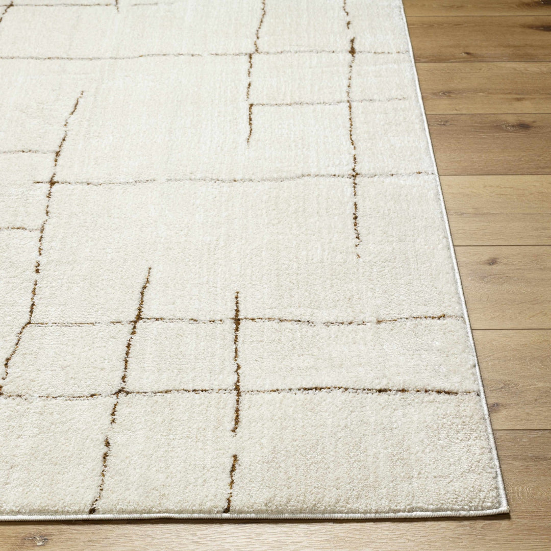 Contemporary Style Ivory & Brown Area Rug - The Rug Decor