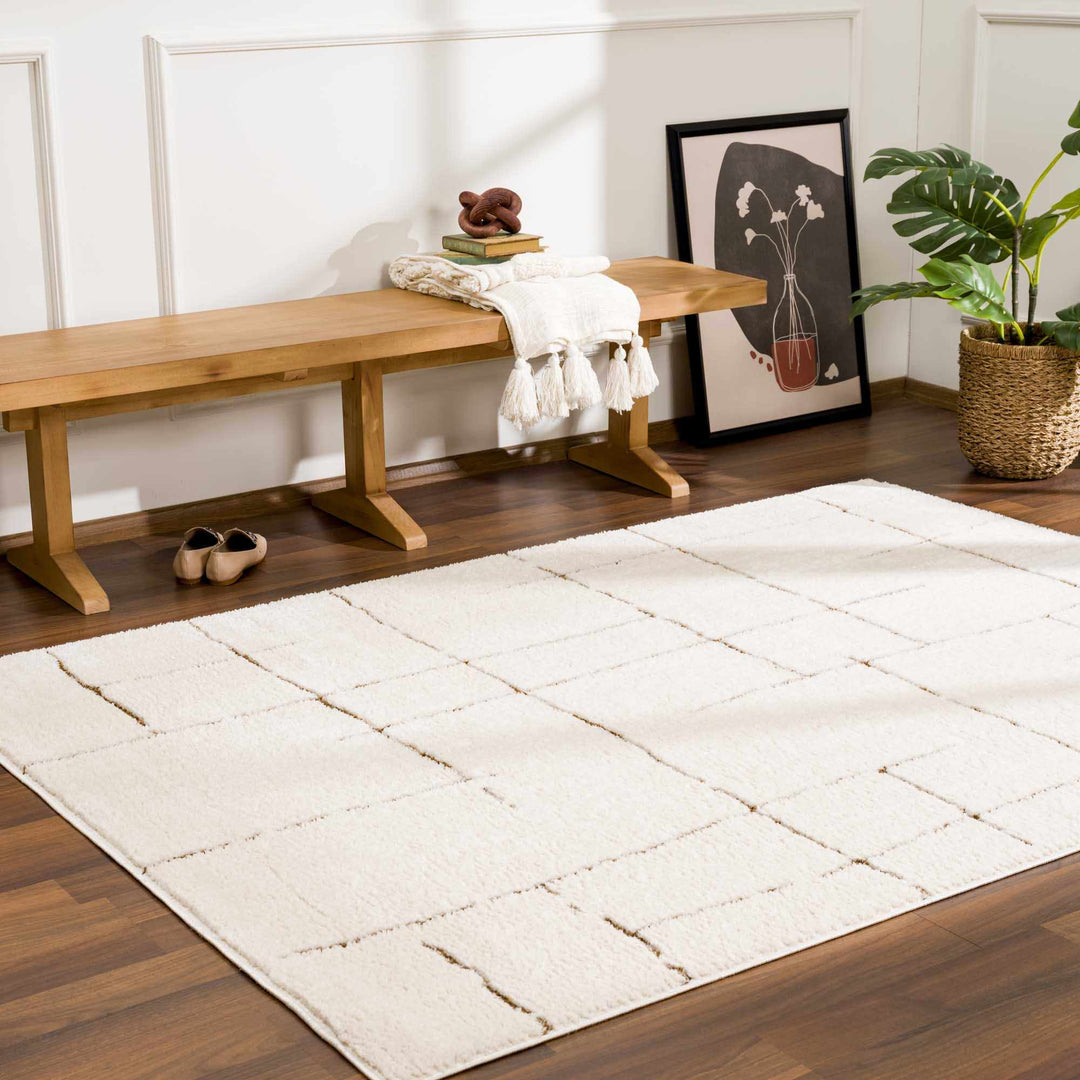 Contemporary Style Ivory & Brown Area Rug - The Rug Decor