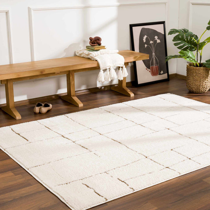 Contemporary Style Ivory & Brown Area Rug - The Rug Decor