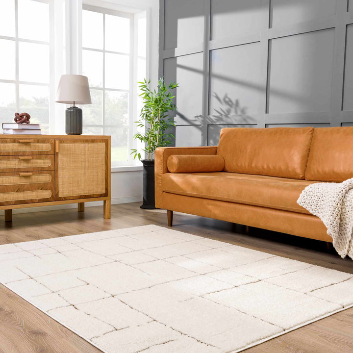 Contemporary Style Ivory & Brown Area Rug - The Rug Decor