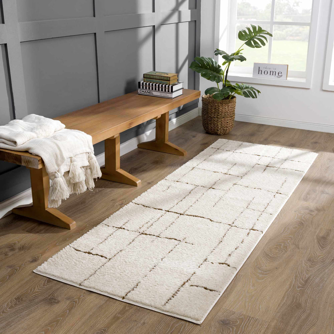 Contemporary Style Ivory & Brown Area Rug - The Rug Decor