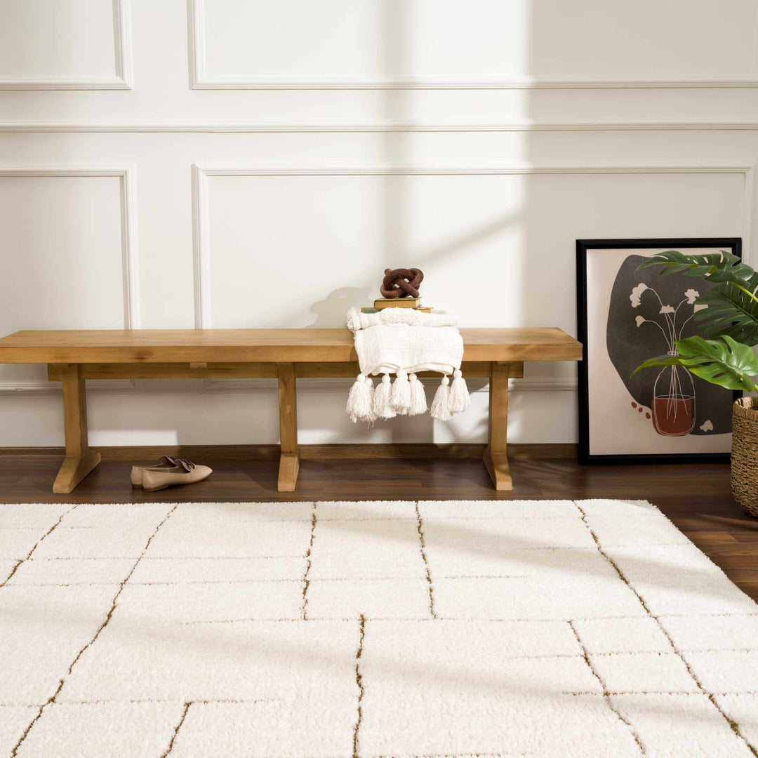 Contemporary Style Ivory & Brown Area Rug - The Rug Decor