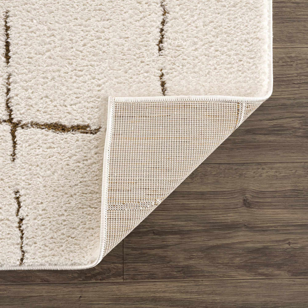 Contemporary Style Ivory & Brown Area Rug - The Rug Decor