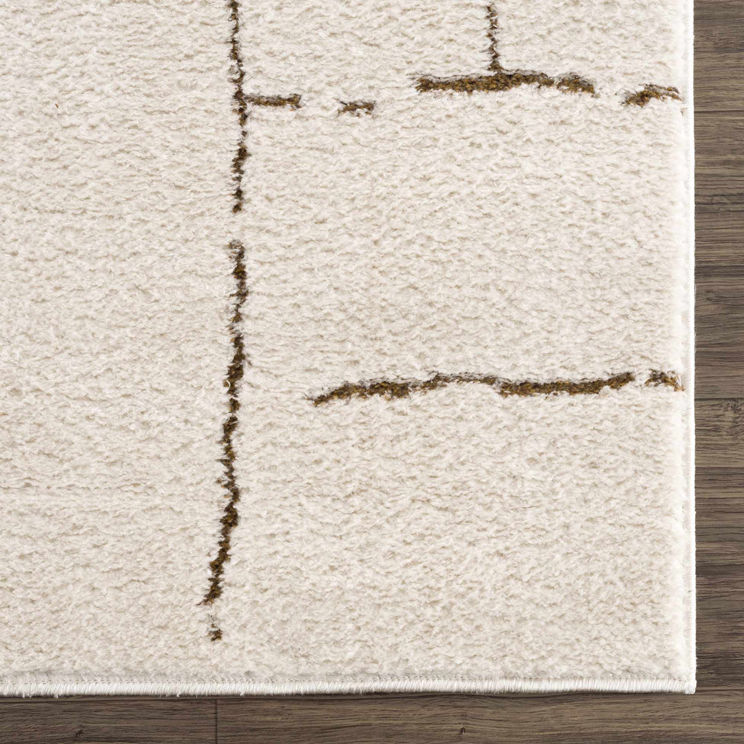 Contemporary Style Ivory & Brown Area Rug - The Rug Decor